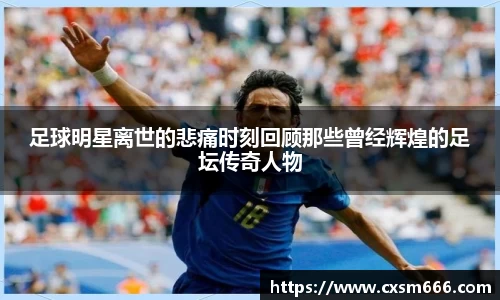 足球明星离世的悲痛时刻回顾那些曾经辉煌的足坛传奇人物